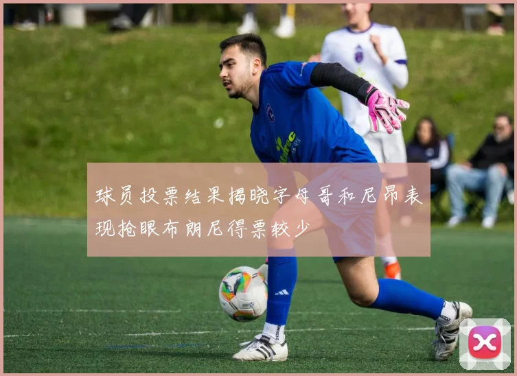 球员投票结果揭晓字母哥和尼昂表现抢眼布朗尼得票较少