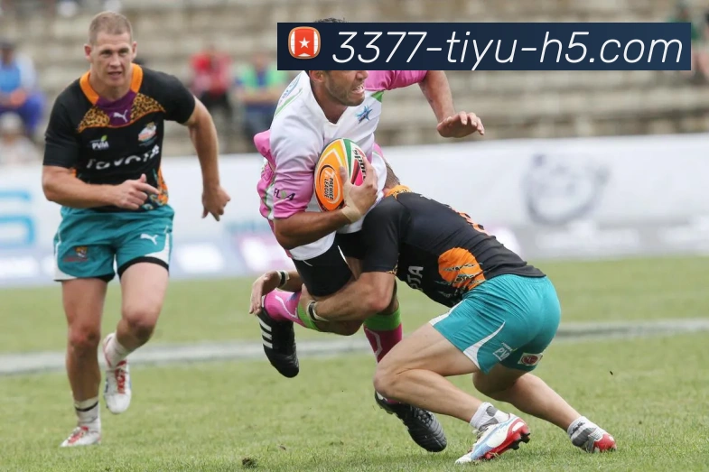 3377体育APP 体育赛事宣传图