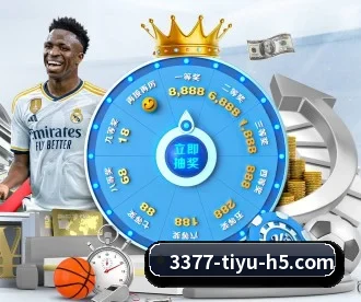 3377体育 APP 深度功能 - 3377Sports