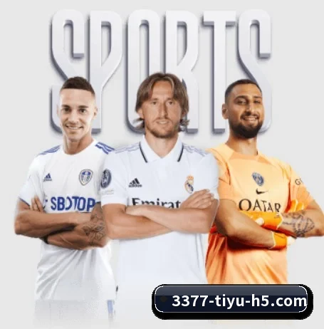 用内容积累长期价值 - 长期内容价值积累 - 3377Sports